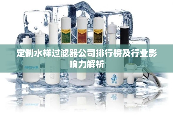 定制水样过滤器公司排行榜及行业影响力解析