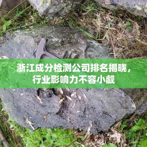浙江成分检测公司排名揭晓,行业影响力不容小觑