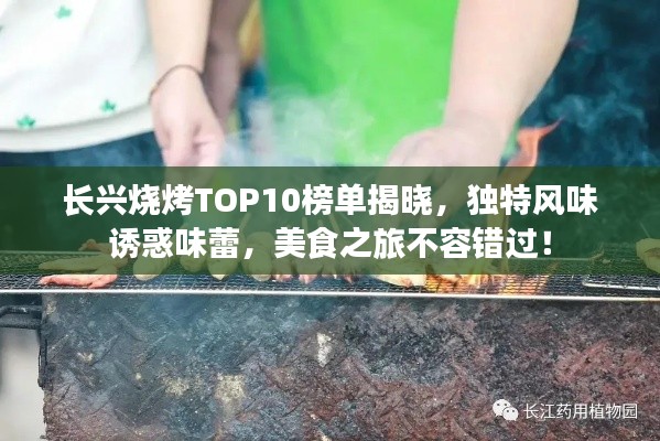 长兴烧烤TOP10榜单揭晓,独特风味诱惑味蕾,美食之旅不容错过!