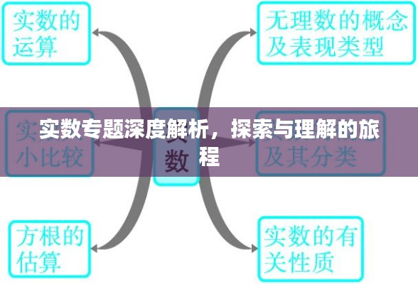 实数专题深度解析,探索与理解的旅程