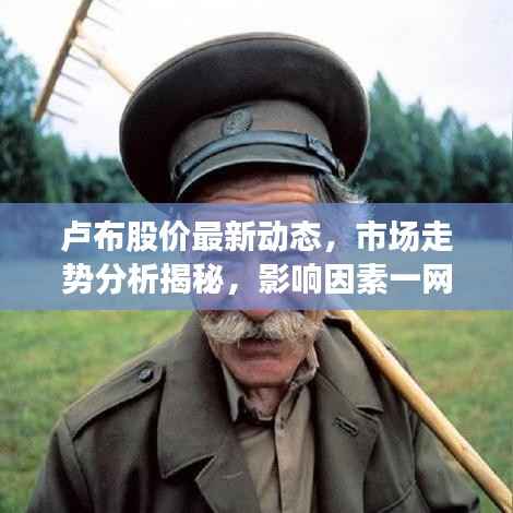卢布股价最新动态,市场走势分析揭秘,影响因素一网打尽!