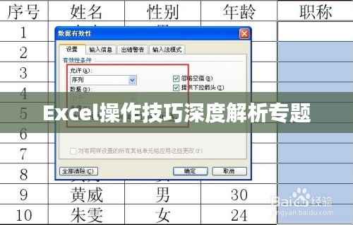 Excel操作技巧深度解析专题