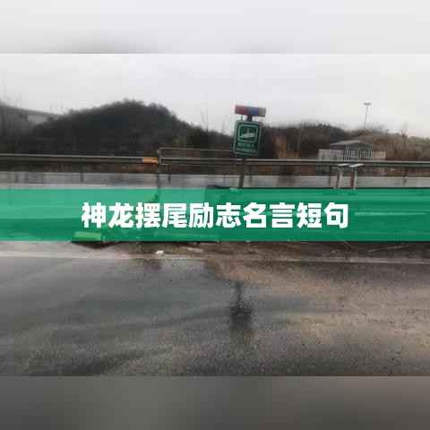 神龙摆尾励志名言短句