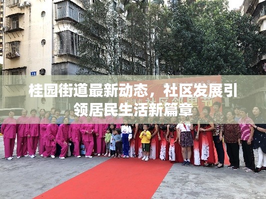 桂园街道最新动态,社区发展引领居民生活新篇章
