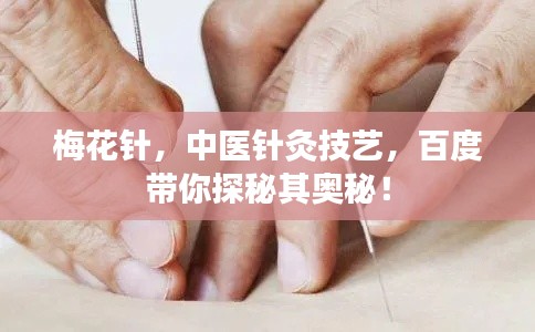 梅花针,中医针灸技艺,百度带你探秘其奥秘!