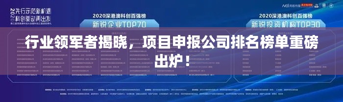 行业领军者揭晓,项目申报公司排名榜单重磅出炉!