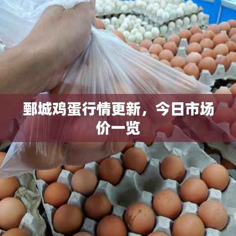 鄄城鸡蛋行情更新,今日市场价一览