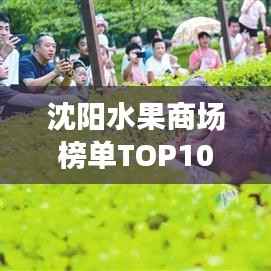 沈阳水果商场榜单TOP10,热门商场大揭秘!