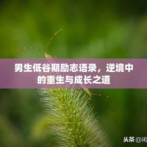 男生低谷期励志语录,逆境中的重生与成长之道