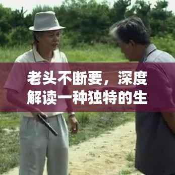 老头不断要,深度解读一种独特的生活态度与追求