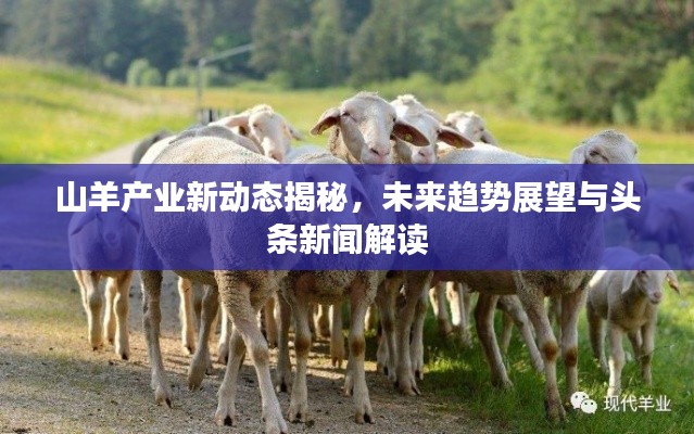 甄繁就简