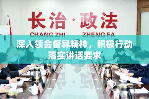 深入领会督导精神,积极行动落实讲话要求