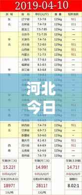 河北今日生猪报价动态更新及分析