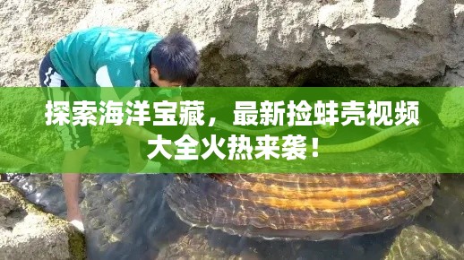 探索海洋宝藏,最新捡蚌壳视频大全火热来袭!