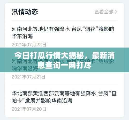 今日打瓜行情大揭秘,最新消息查询一网打尽