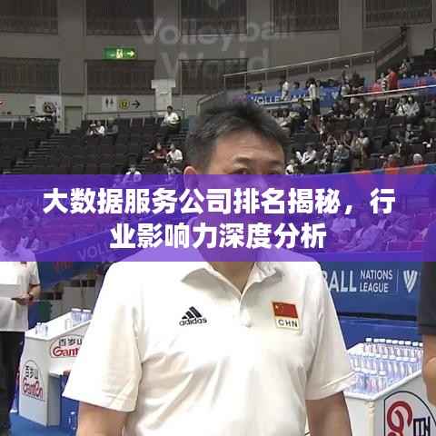 大数据服务公司排名揭秘,行业影响力深度分析