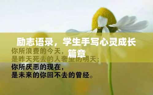 励志语录,学生手写心灵成长篇章