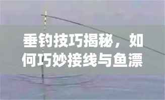 垂钓技巧揭秘，如何巧妙接线与鱼漂，展现你的智慧与技艺