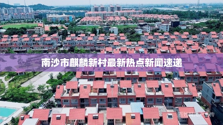 南沙市麒麟新村最新热点新闻速递