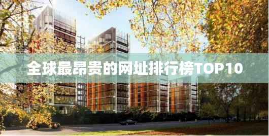 全球最昂贵的网址排行榜TOP10