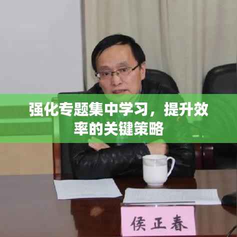 强化专题集中学习,提升效率的关键策略