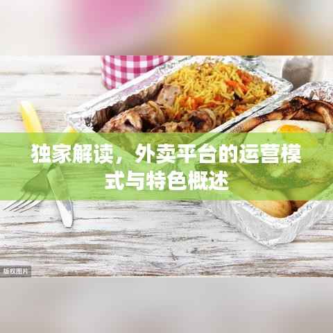 独家解读,外卖平台的运营模式与特色概述