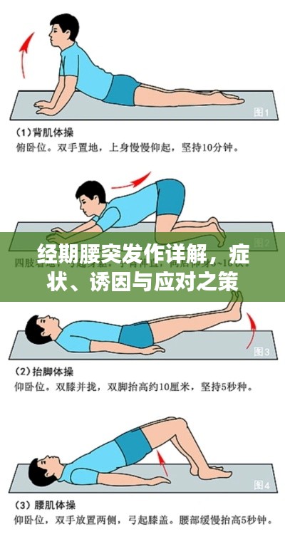 经期腰突发作详解,症状、诱因与应对之策