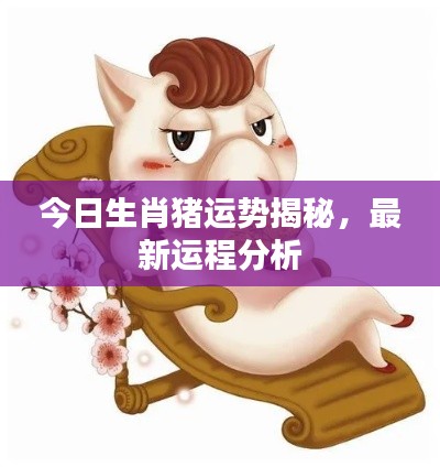 今日生肖猪运势揭秘,最新运程分析