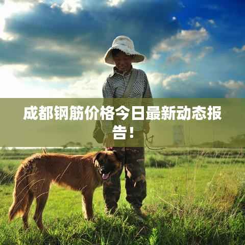 成都钢筋价格今日最新动态报告!