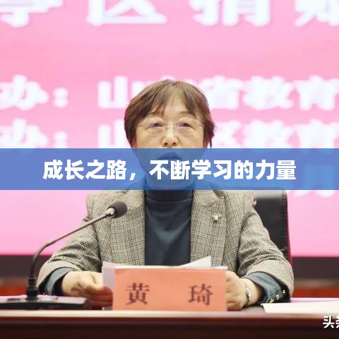 成长之路,不断学习的力量