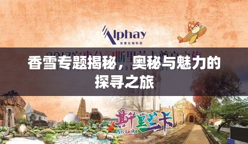 香雪专题揭秘,奥秘与魅力的探寻之旅