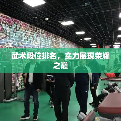 武术段位排名,实力展现荣耀之巅