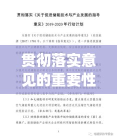 贯彻落实意见的重要性,实践指南与行动纲领