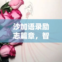 沙加语录励志篇章,智慧箴言与激励人心的力量