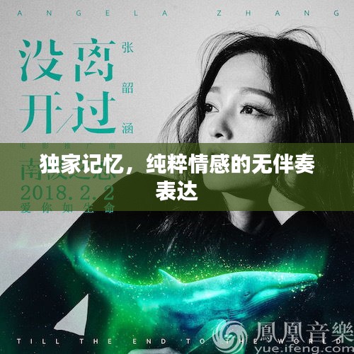 独家记忆，纯粹情感的无伴奏表达