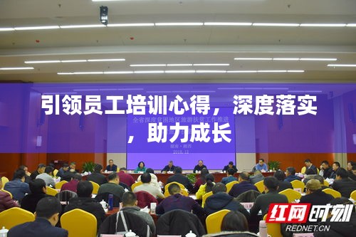 引领员工培训心得,深度落实,助力成长