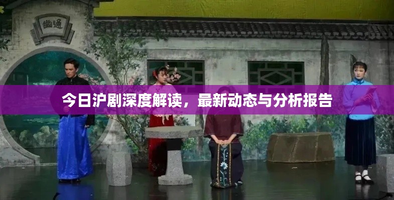 今日沪剧深度解读,最新动态与分析报告