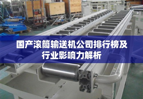 国产滚筒输送机公司排行榜及行业影响力解析